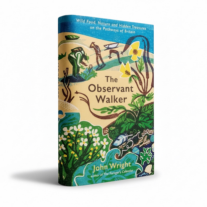 The Observant Walker - Better Self Books
